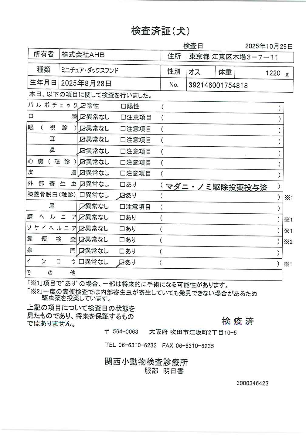 ミニチュア・ダックスフンド
