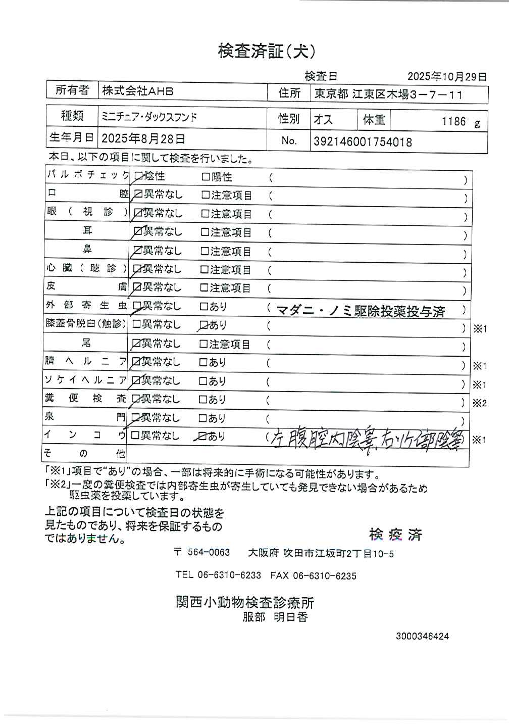 ミニチュア・ダックスフンド