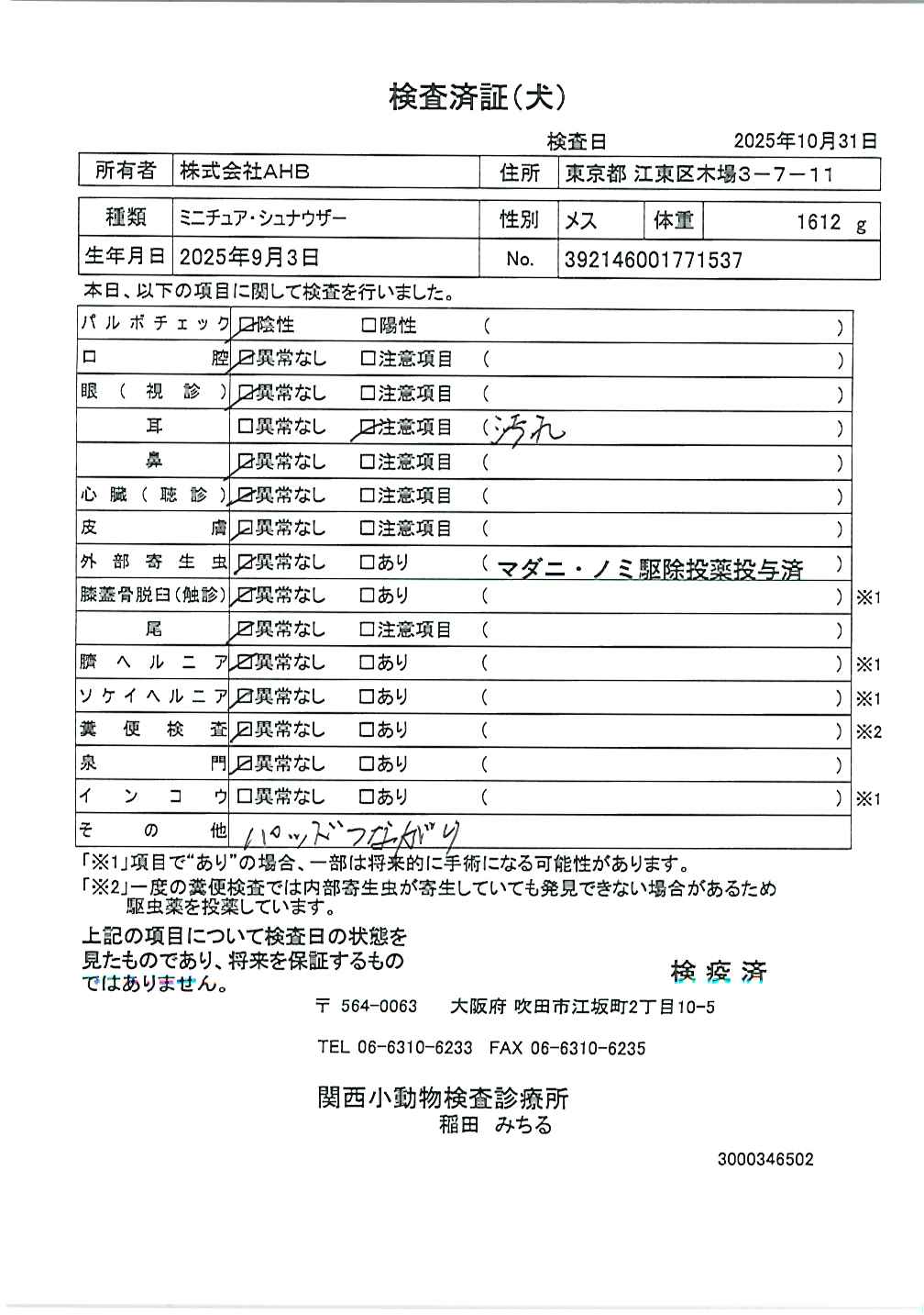 ミニチュア・シュナウザー