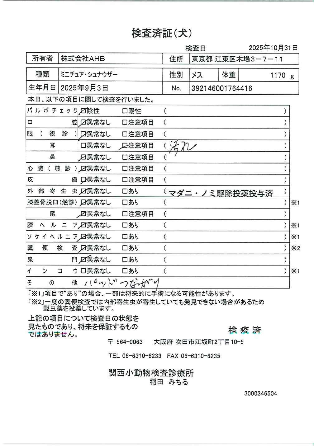 ミニチュア・シュナウザー