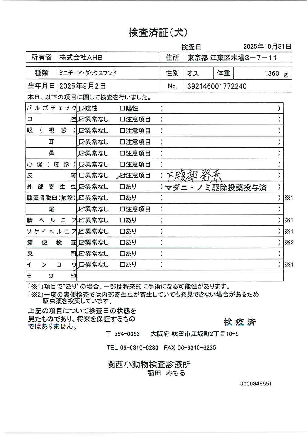 ミニチュア・ダックスフンド