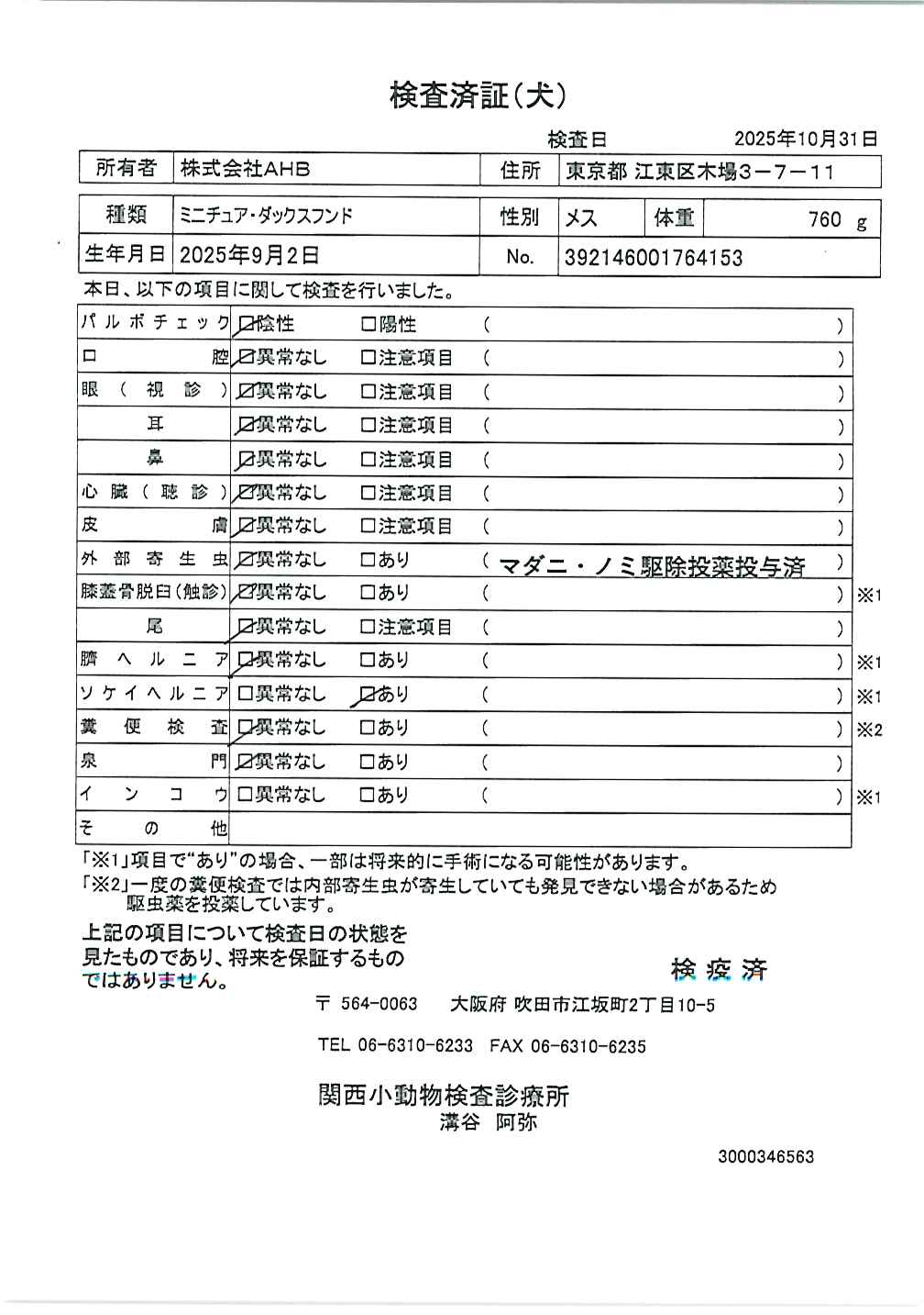 ミニチュア・ダックスフンド