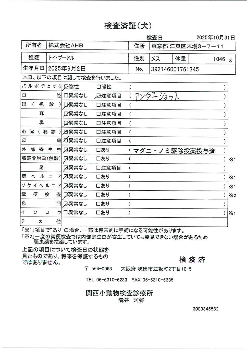 トイ・プードル