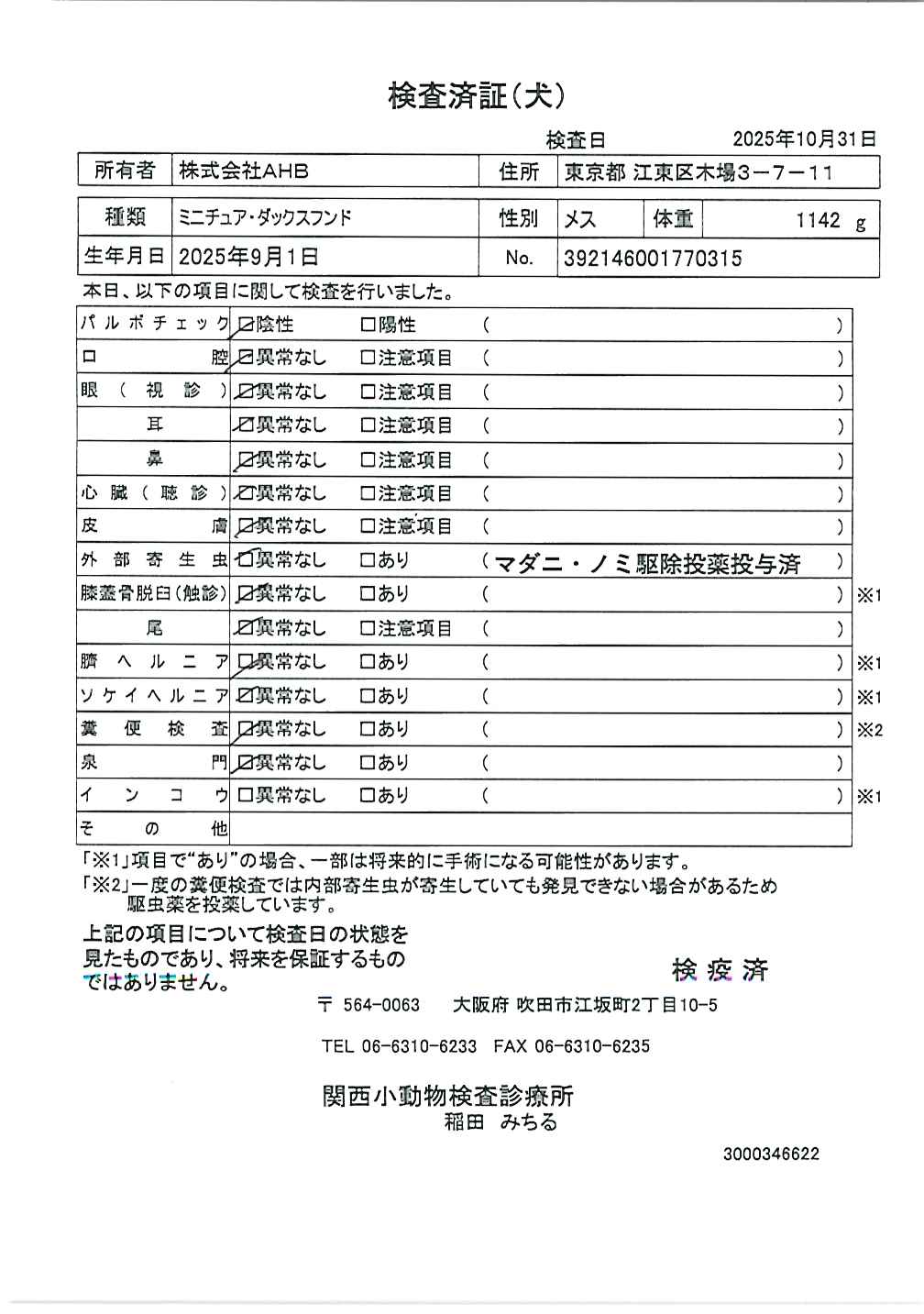 ミニチュア・ダックスフンド