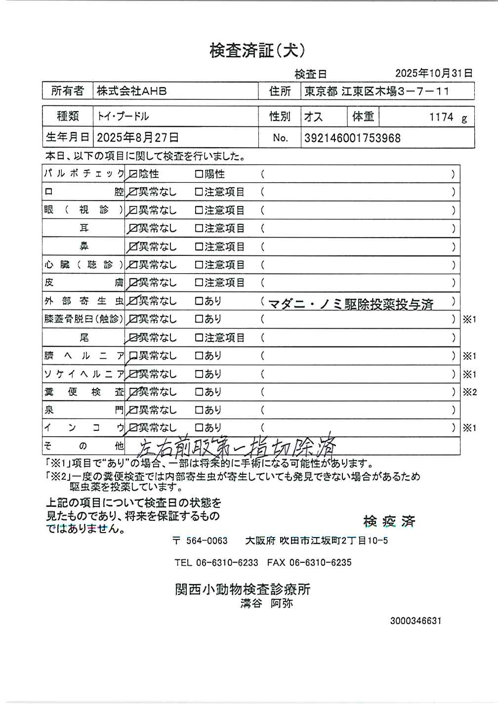 トイ・プードル