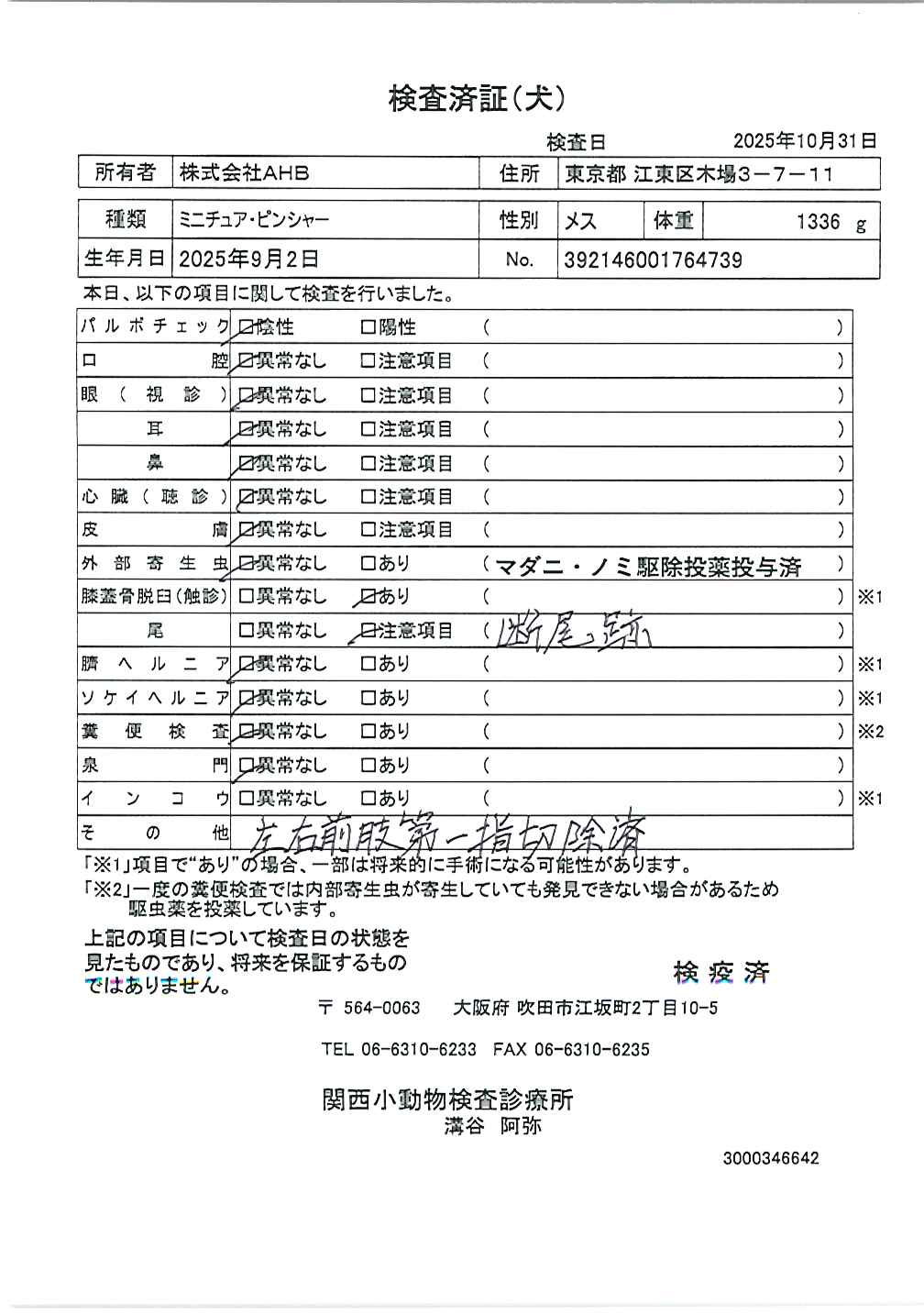 ミニチュア・ピンシャー