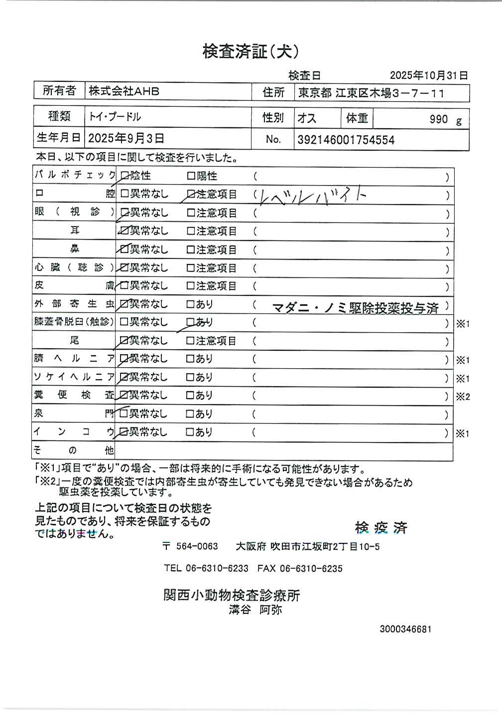 トイ・プードル