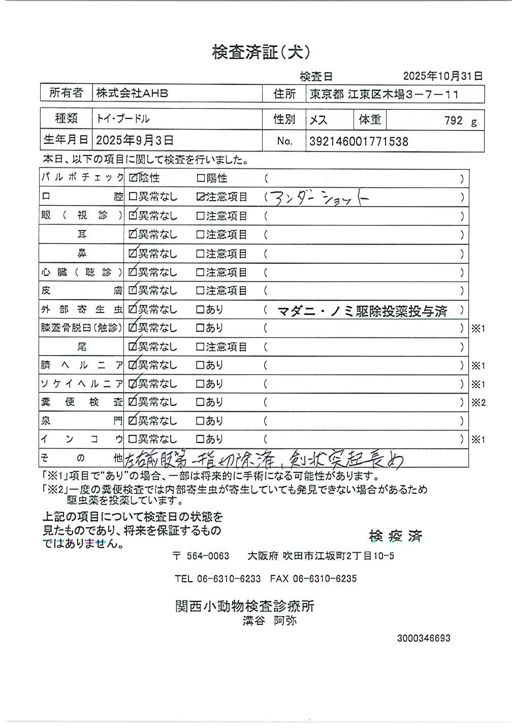 トイ・プードル