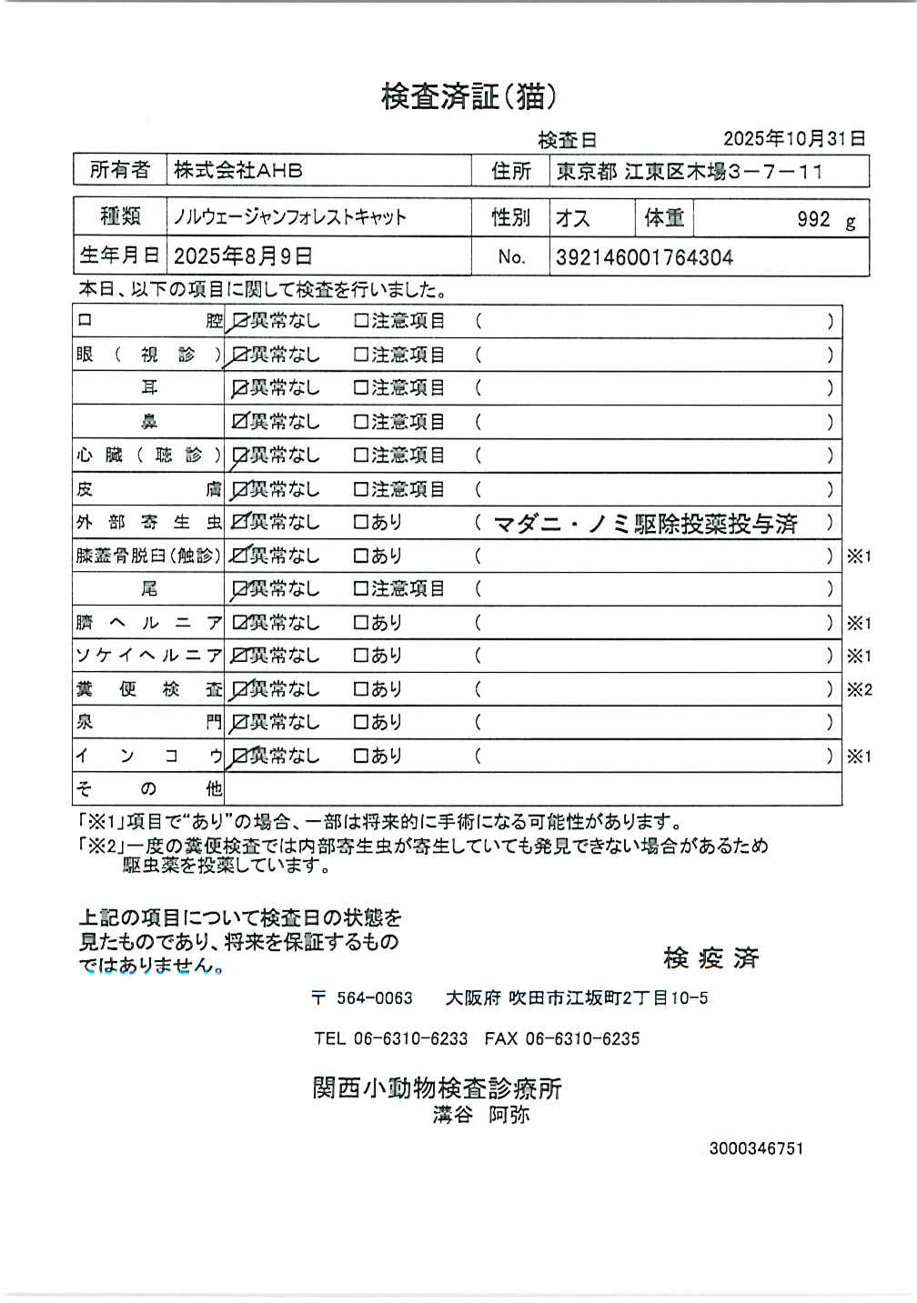 ノルウェージャンフォレストキャット