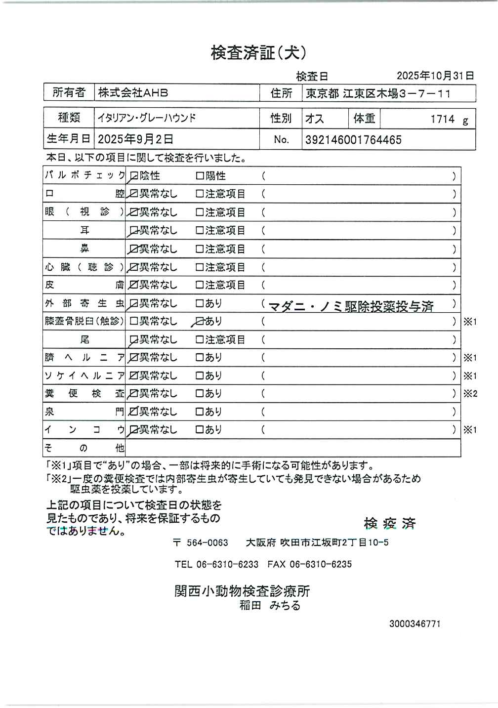 イタリアン・グレーハウンド