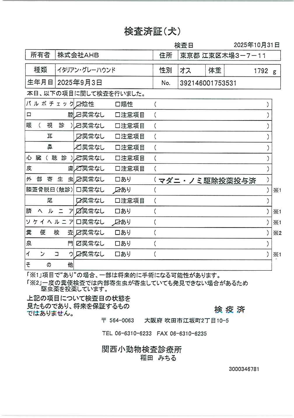イタリアン・グレーハウンド