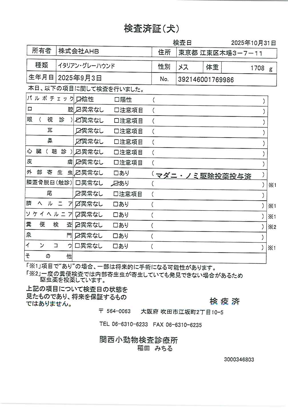 イタリアン・グレーハウンド