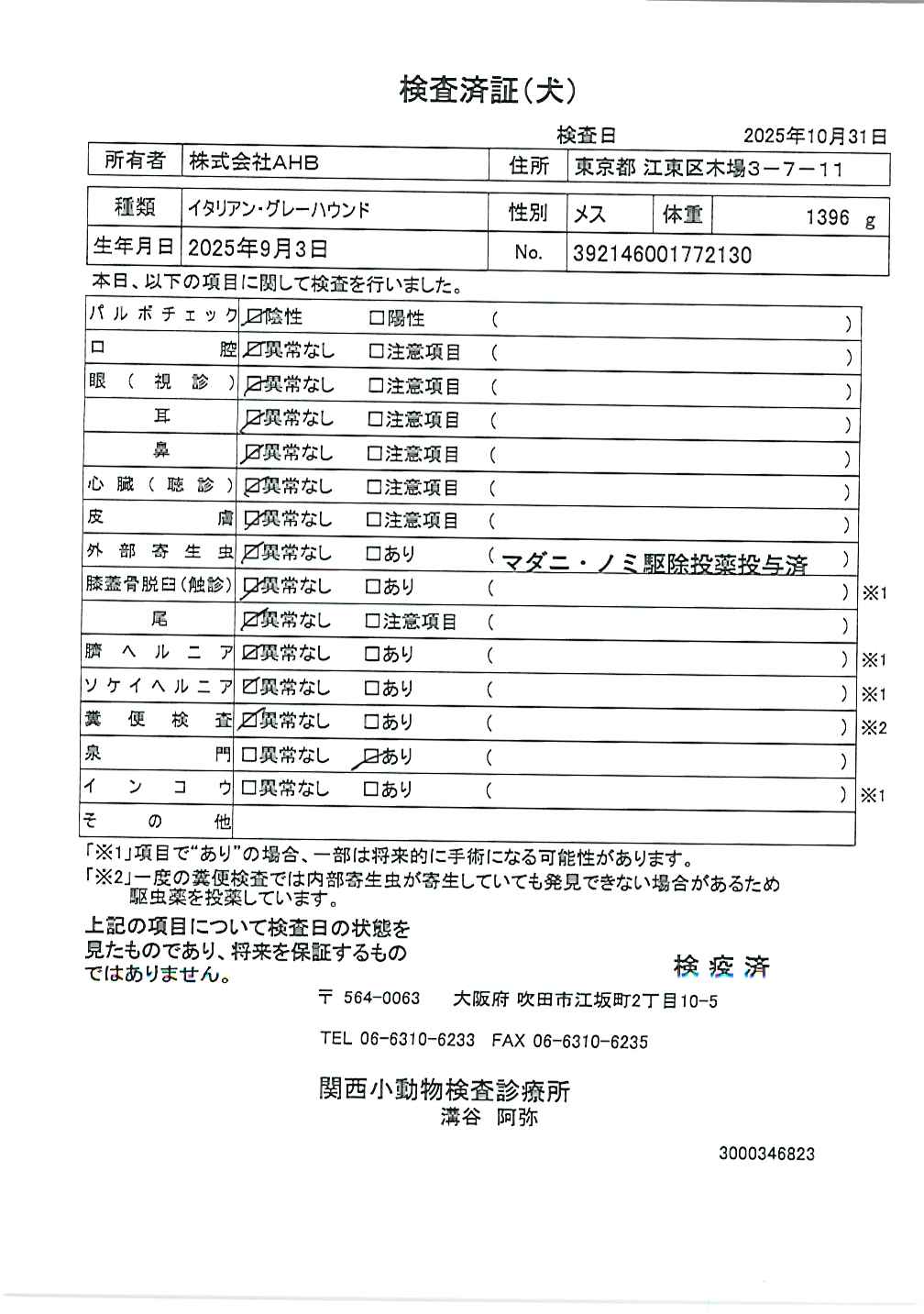 イタリアン・グレーハウンド
