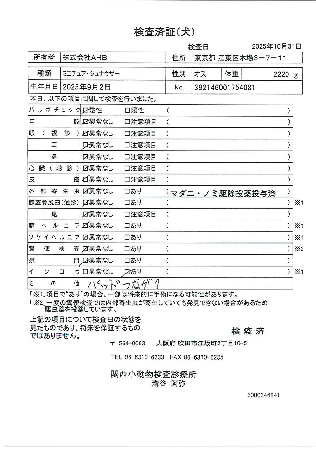 ミニチュア・シュナウザー