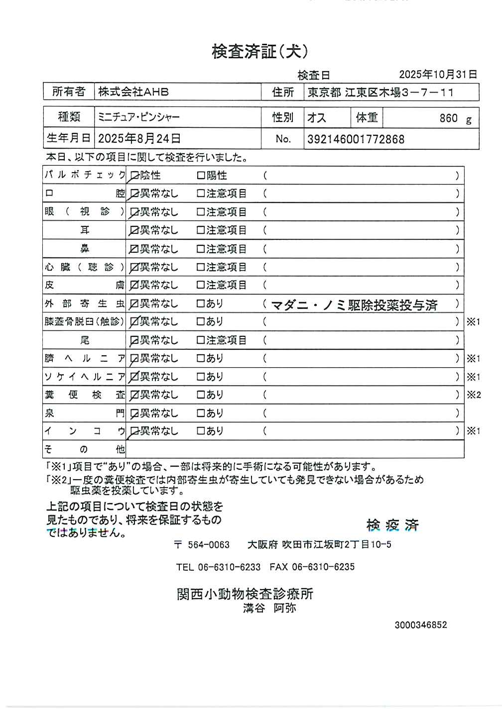 ミニチュア・ピンシャー