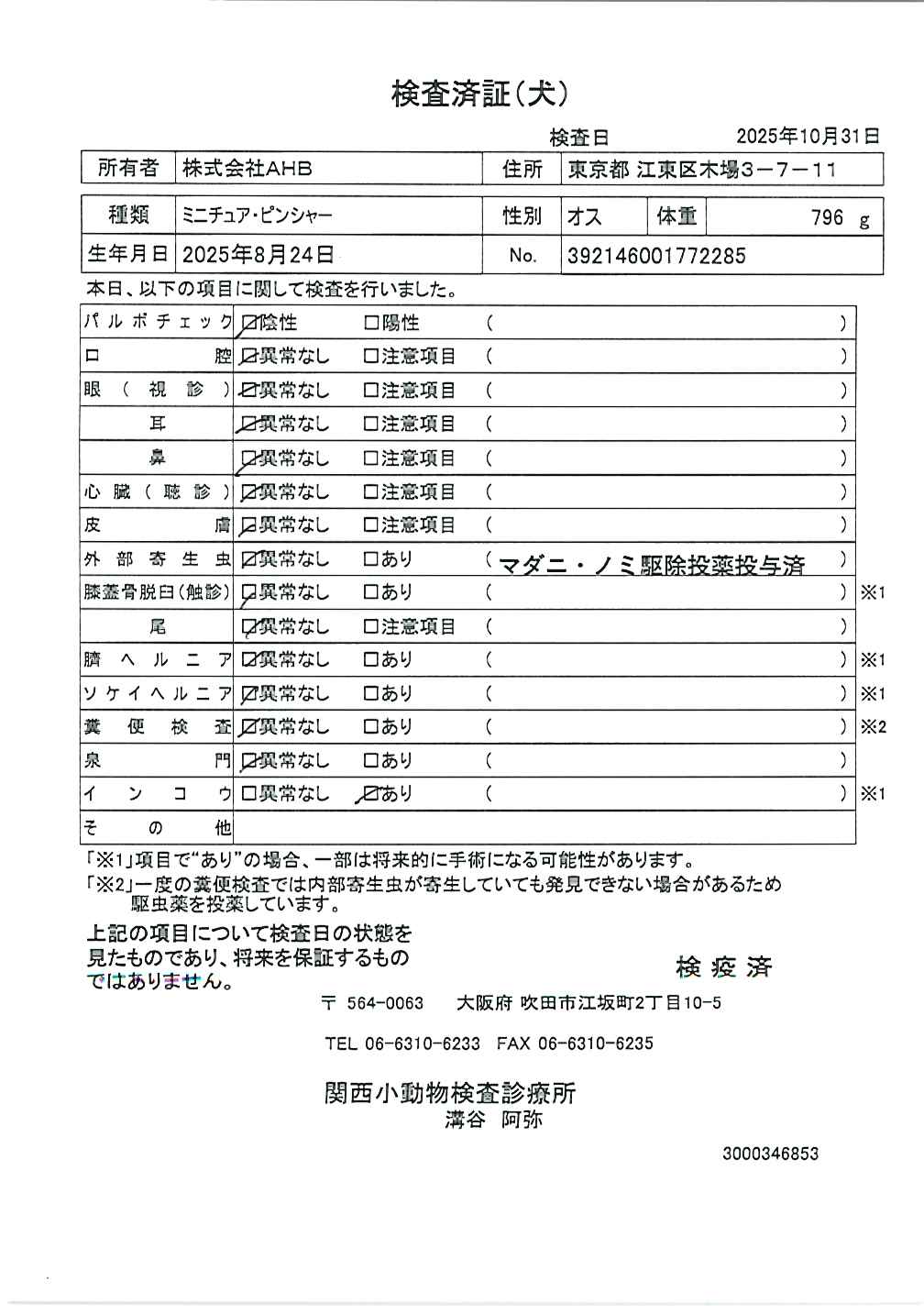 ミニチュア・ピンシャー