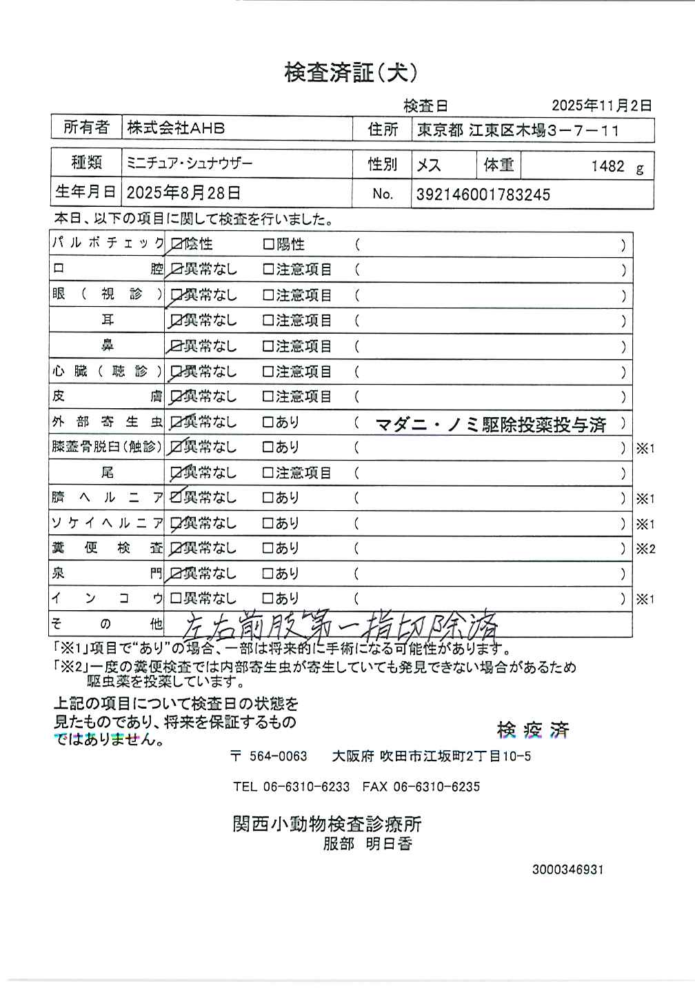 ミニチュア・シュナウザー