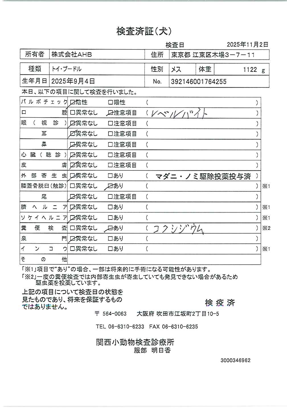 トイ・プードル