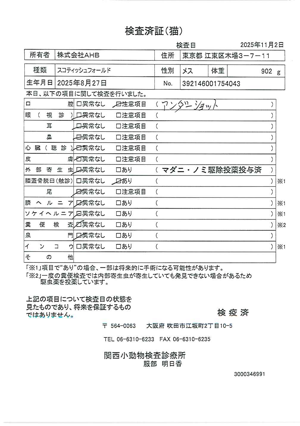 スコティッシュフォールド