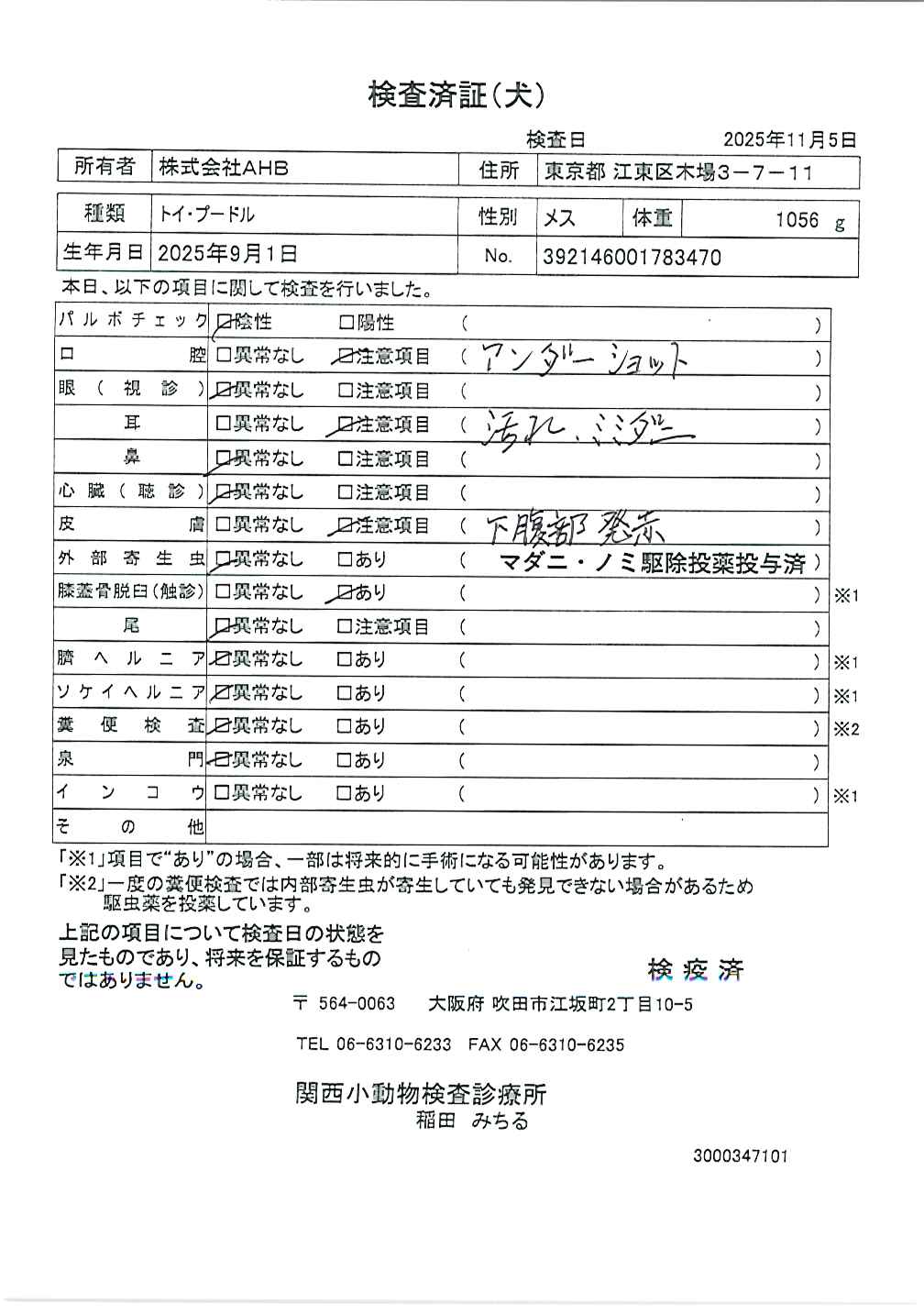 トイ・プードル