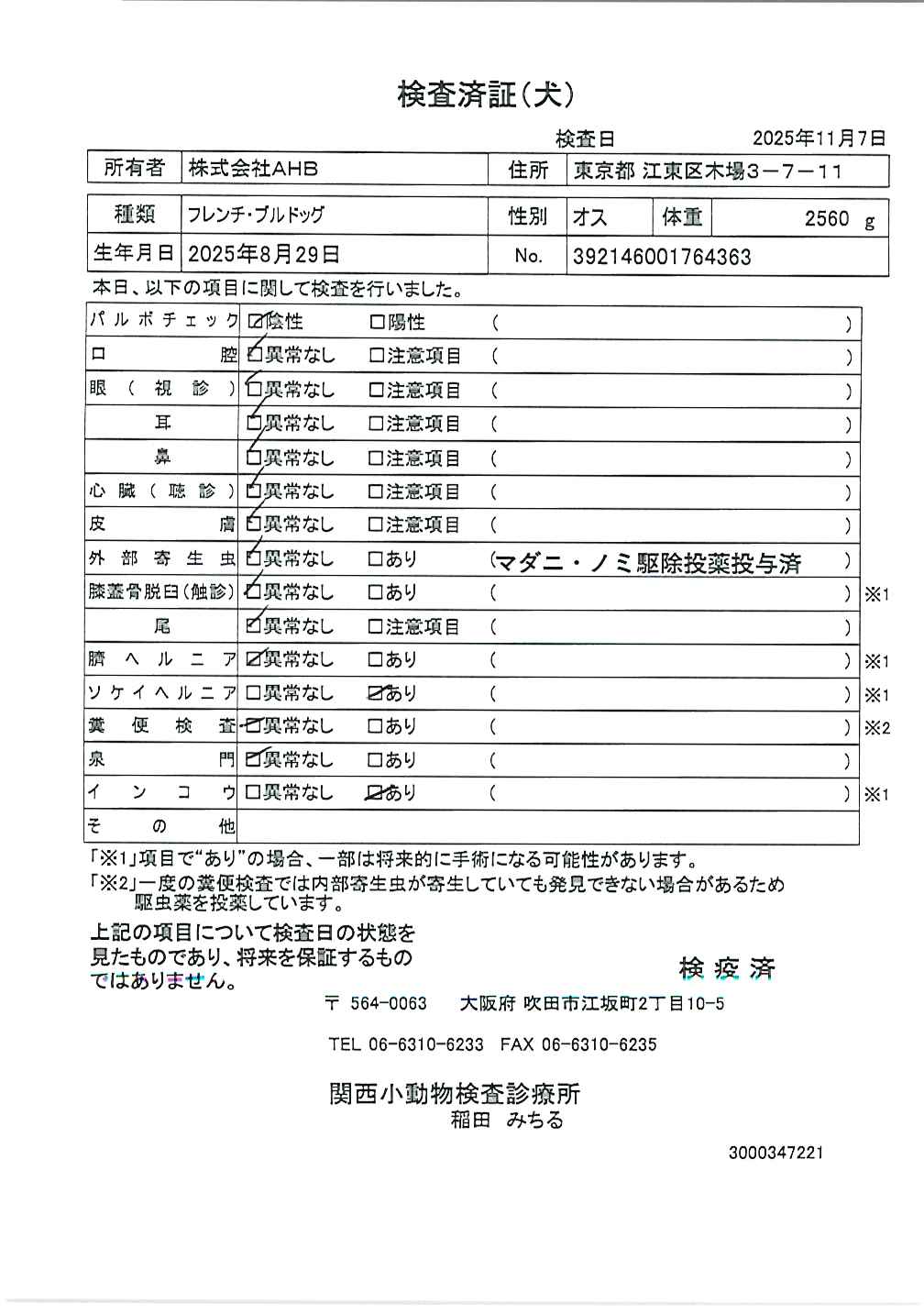 フレンチ・ブルドッグ