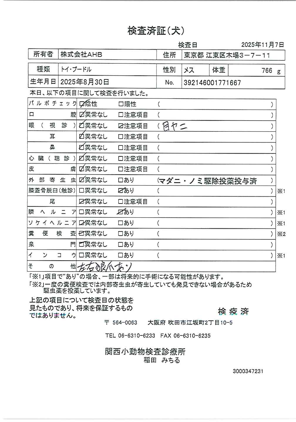 トイ・プードル