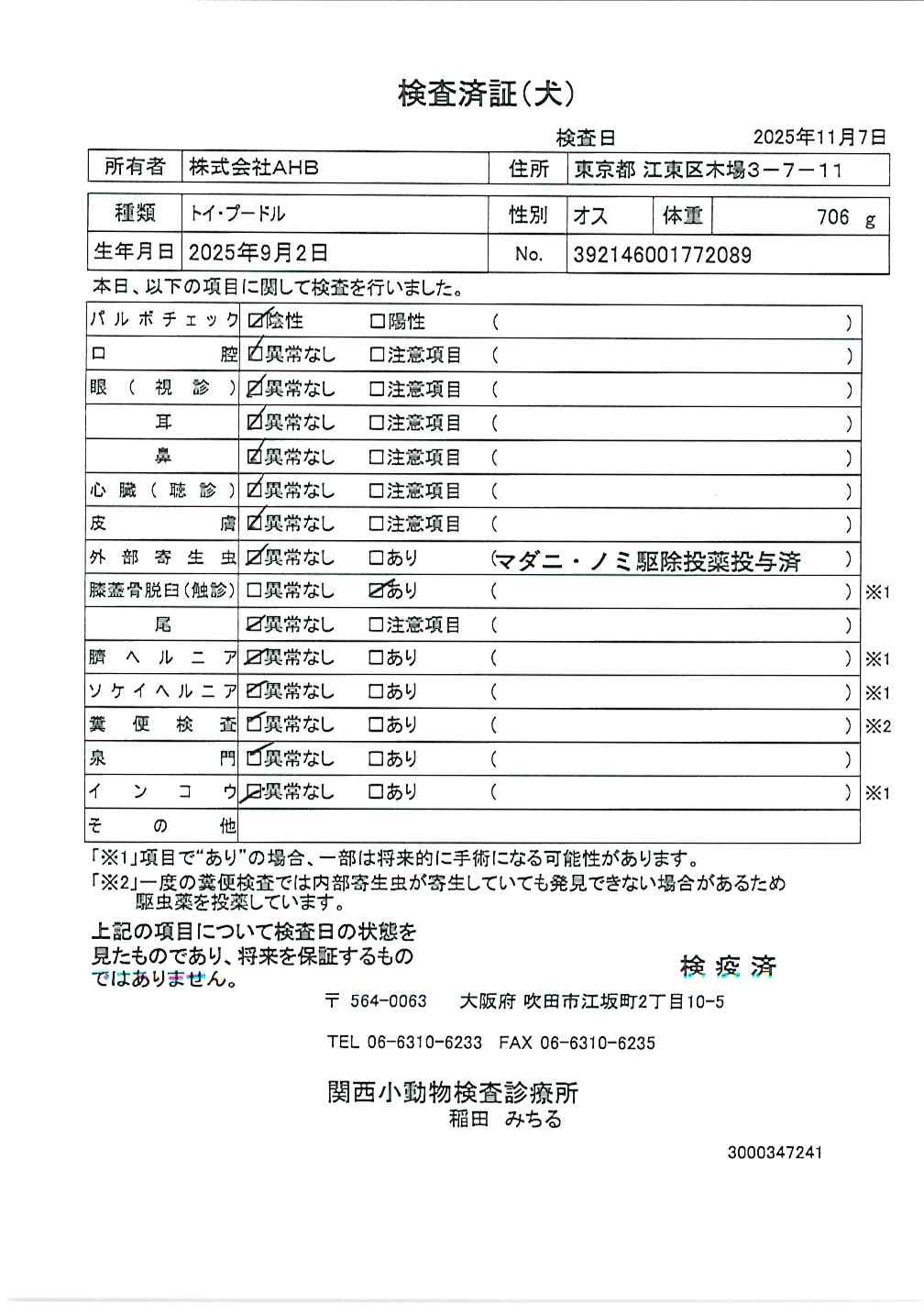 トイ・プードル