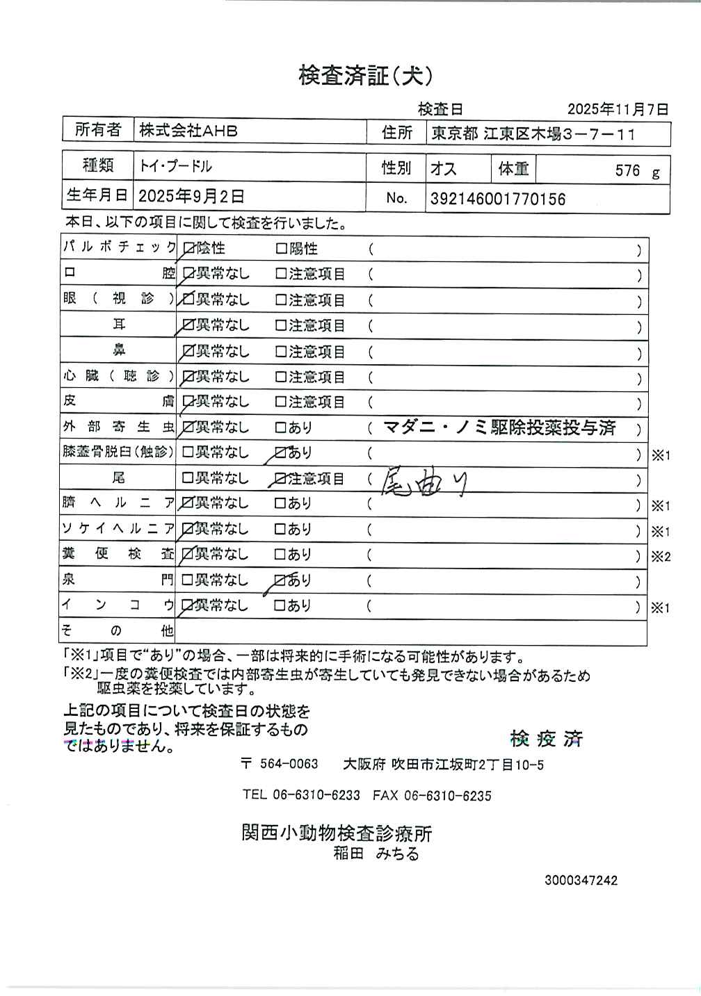トイ・プードル
