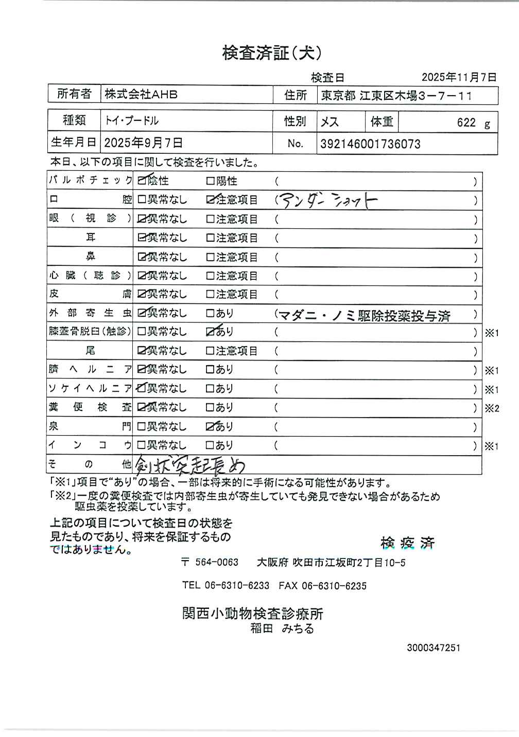 トイ・プードル