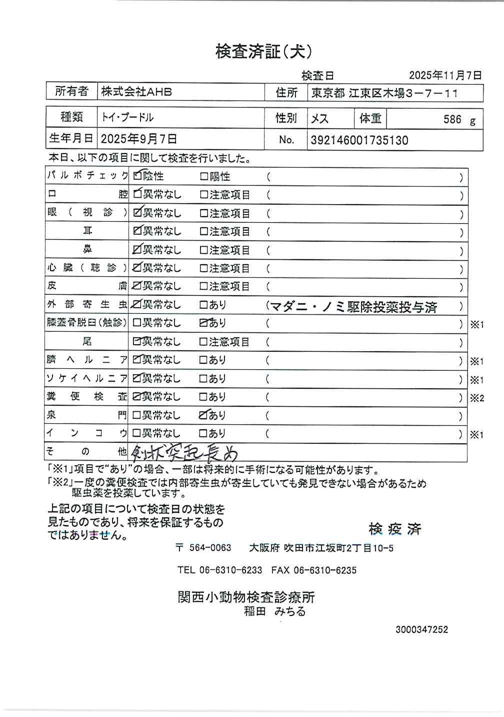 トイ・プードル