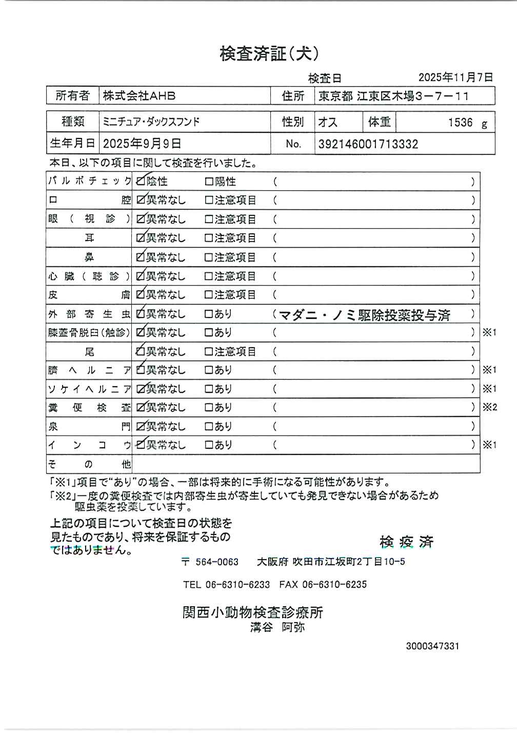 ミニチュア・ダックスフンド