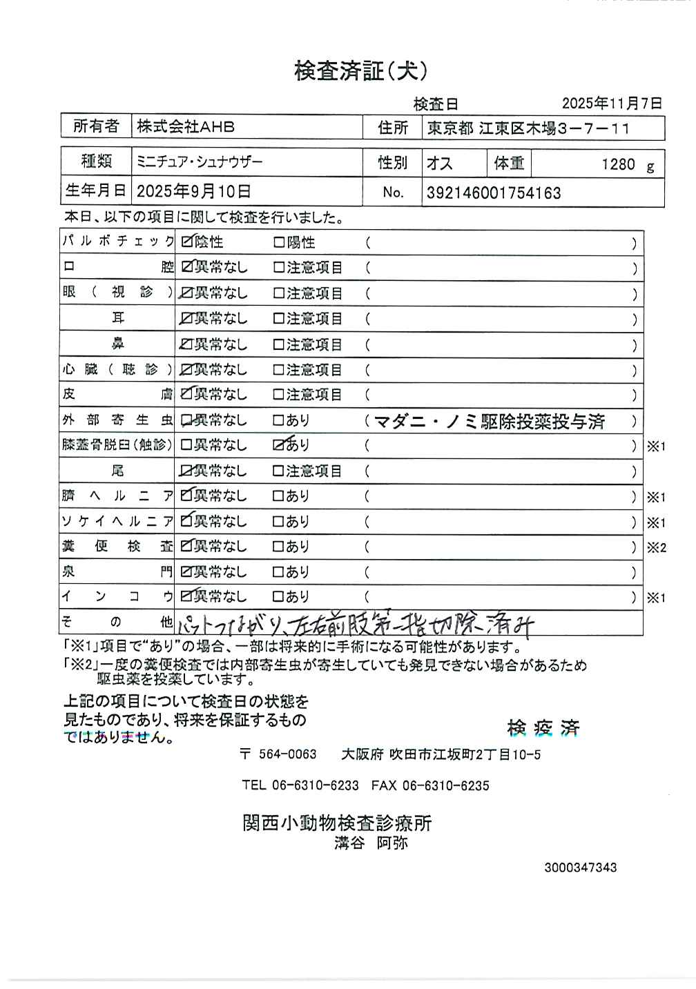 ミニチュア・シュナウザー