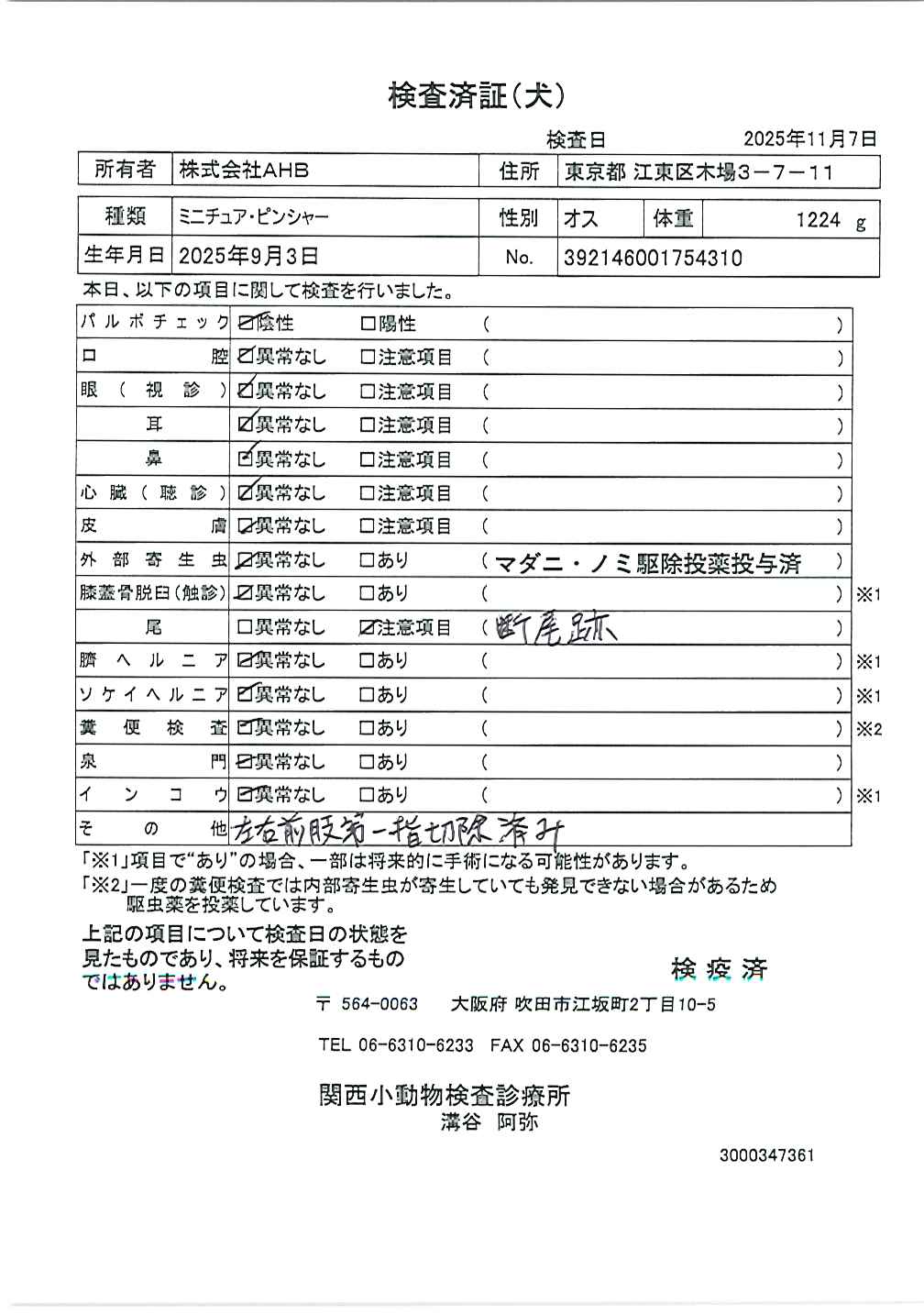 ミニチュア・ピンシャー