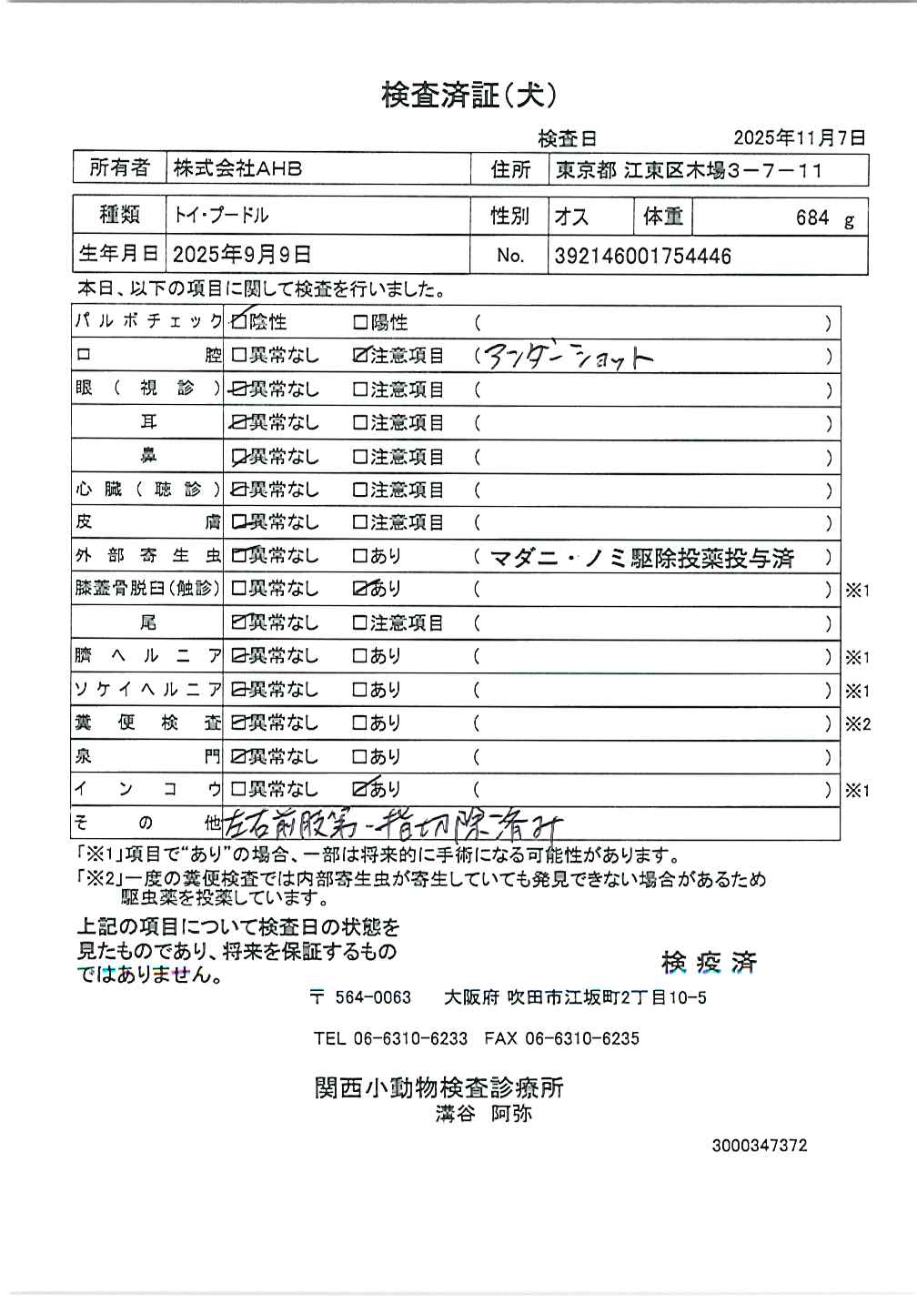 トイ・プードル