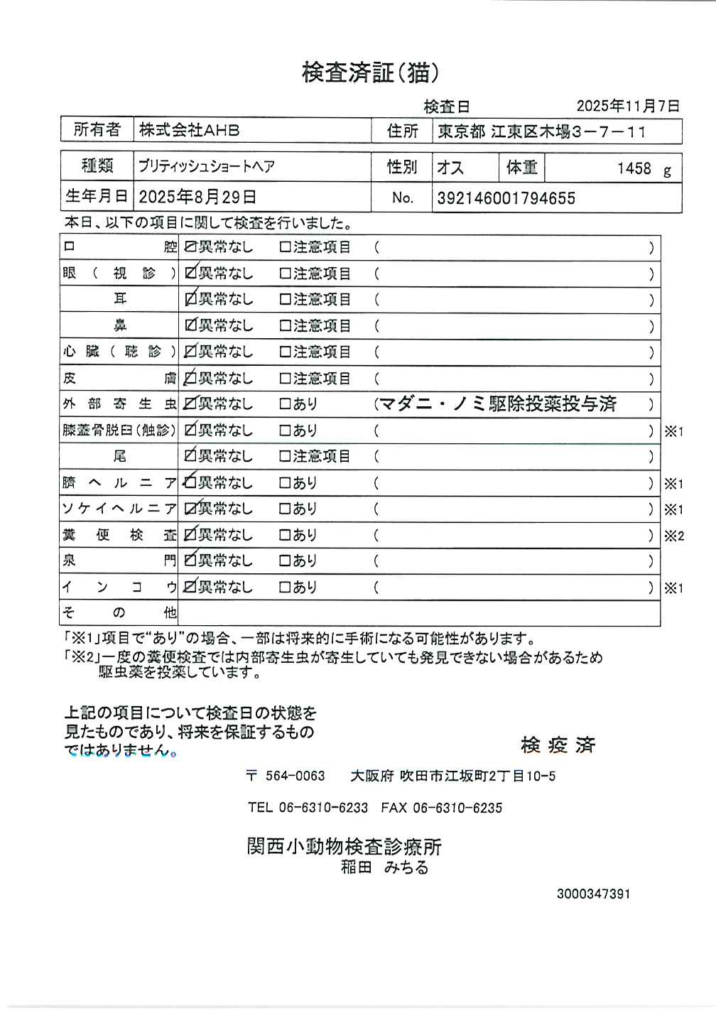 ブリティッシュショートヘア