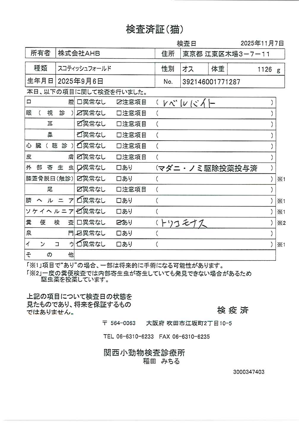 スコティッシュフォールド