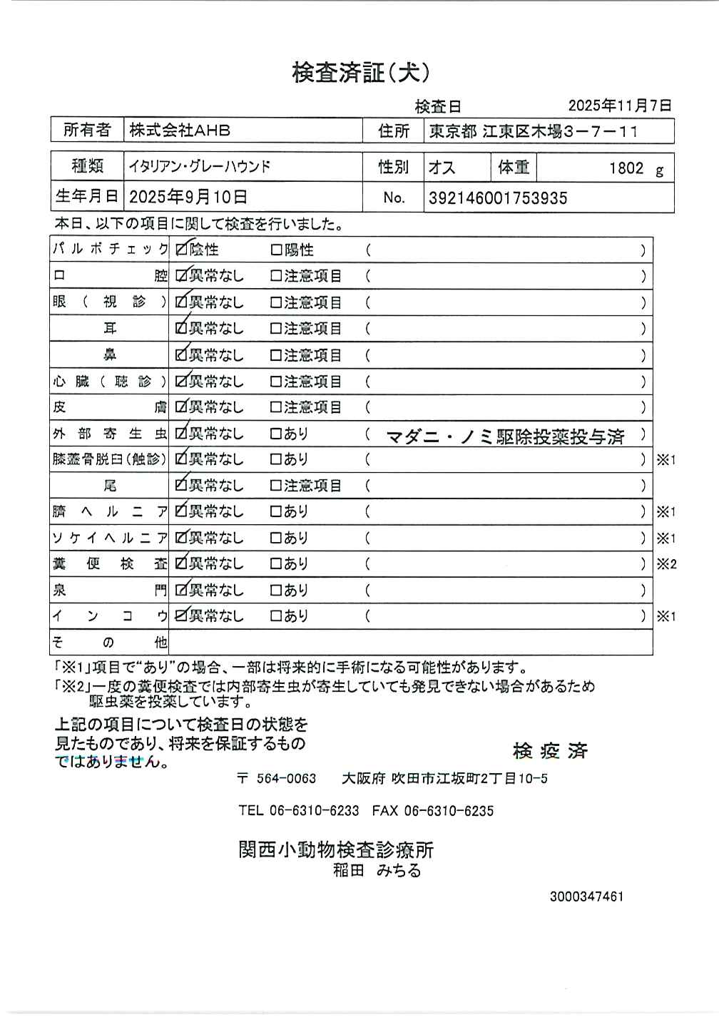 イタリアン・グレーハウンド