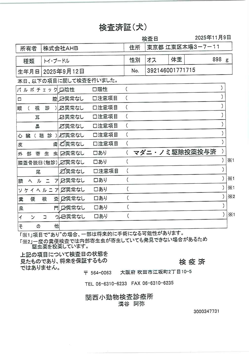 トイ・プードル