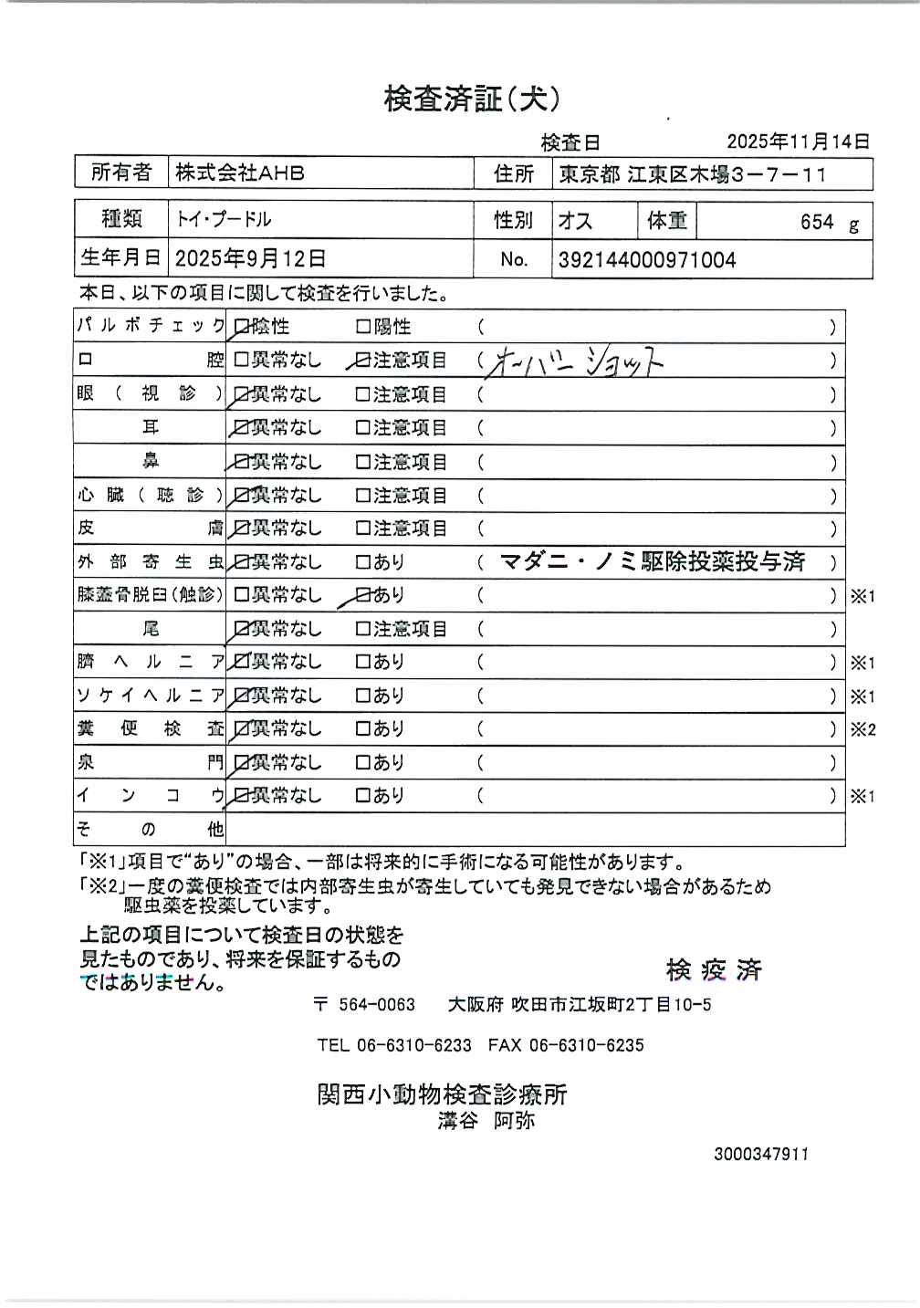 トイ・プードル