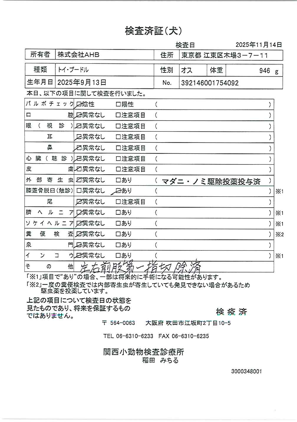 トイ・プードル