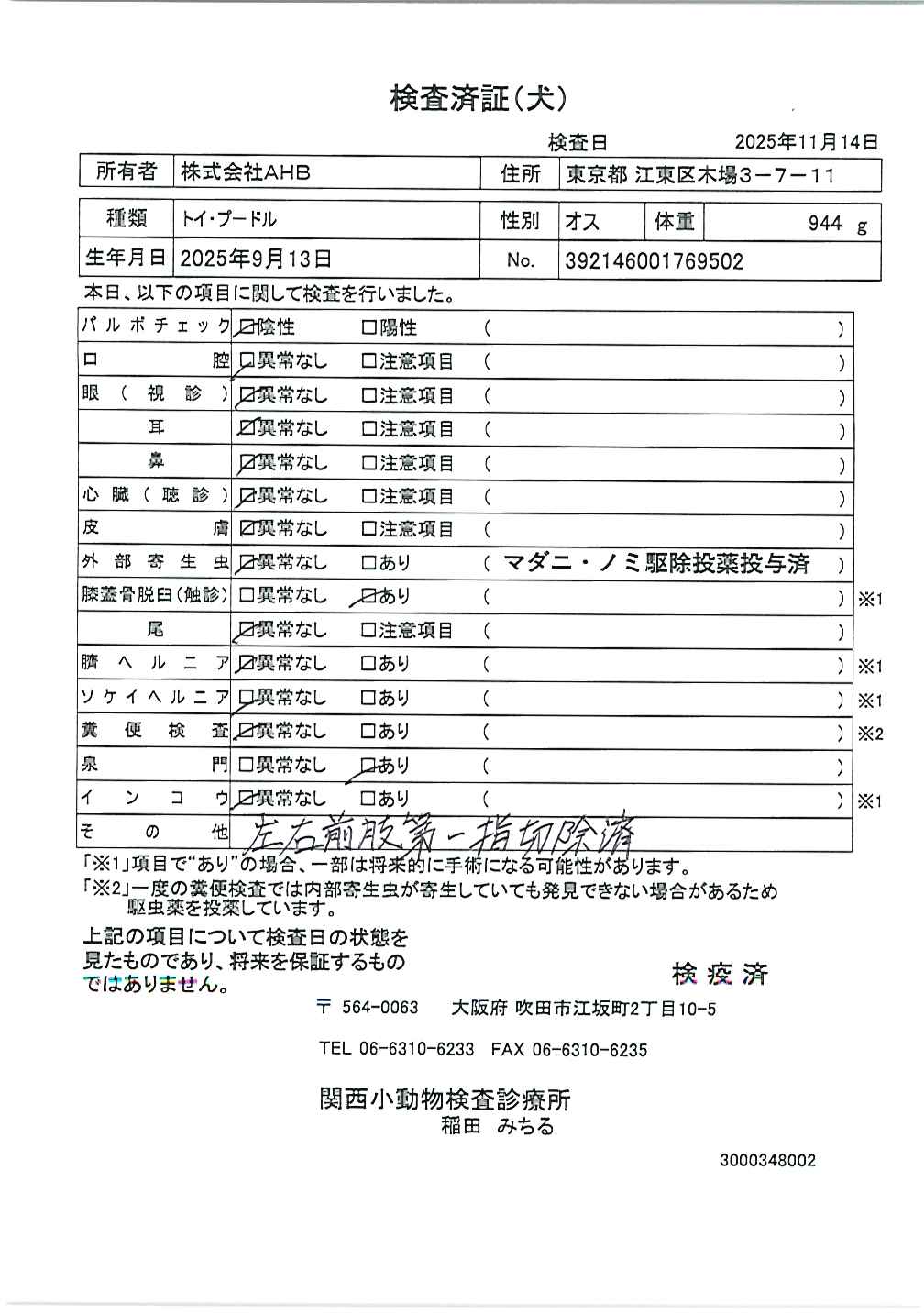 トイ・プードル