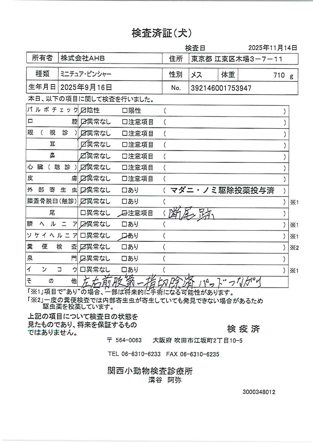 ミニチュア・ピンシャー