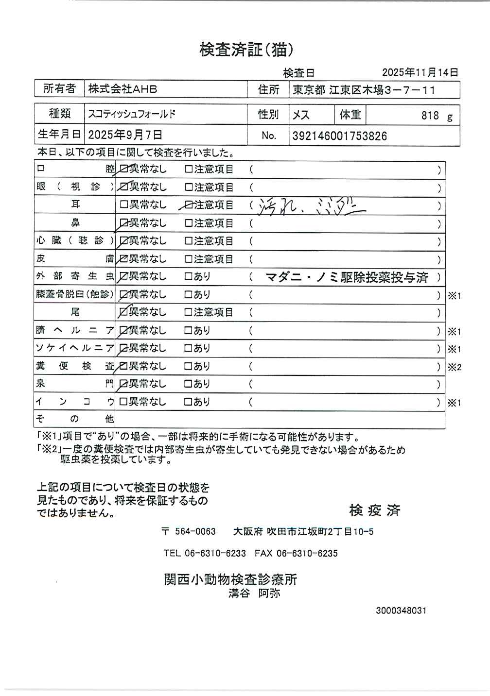 スコティッシュフォールド