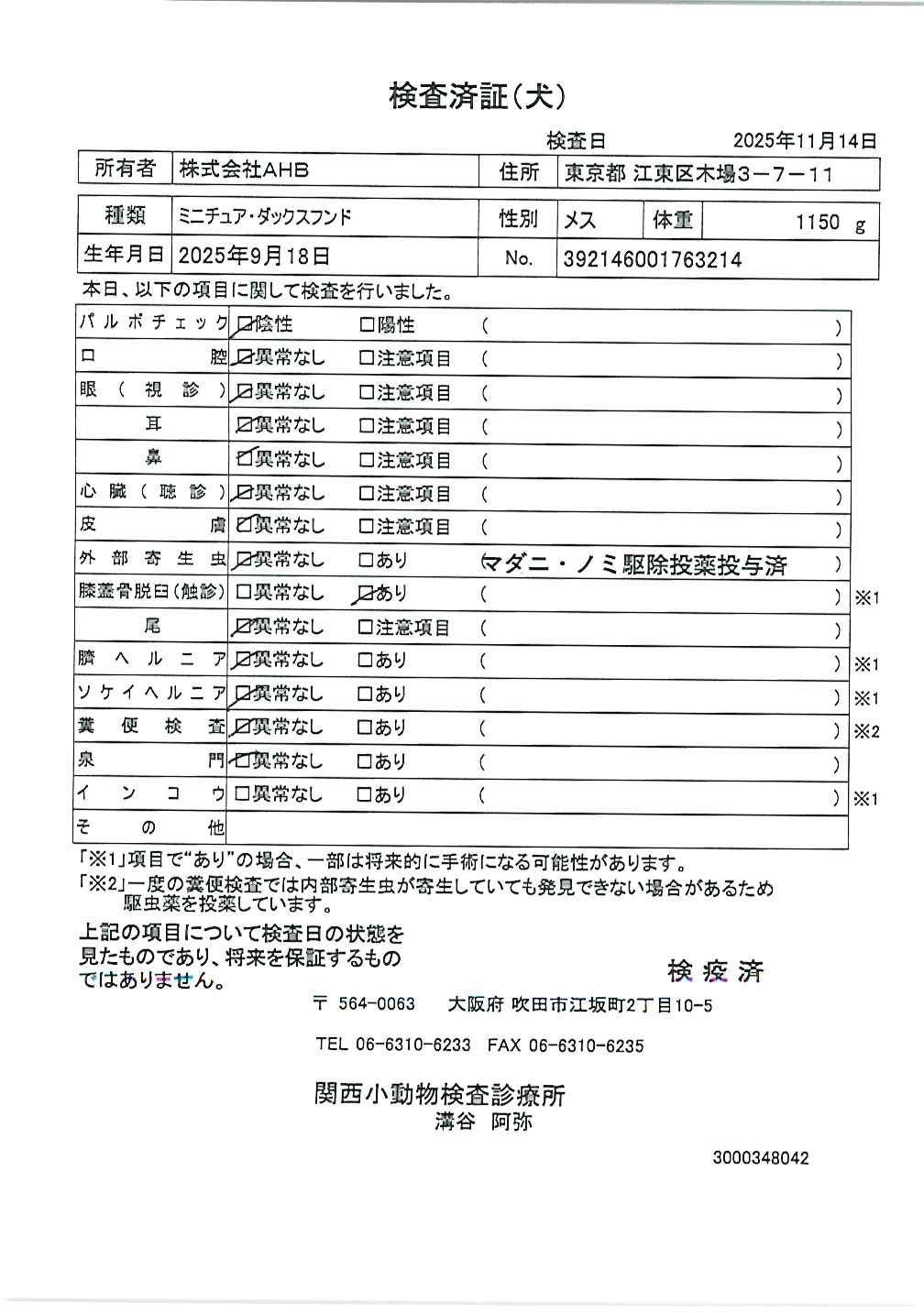 ミニチュア・ダックスフンド