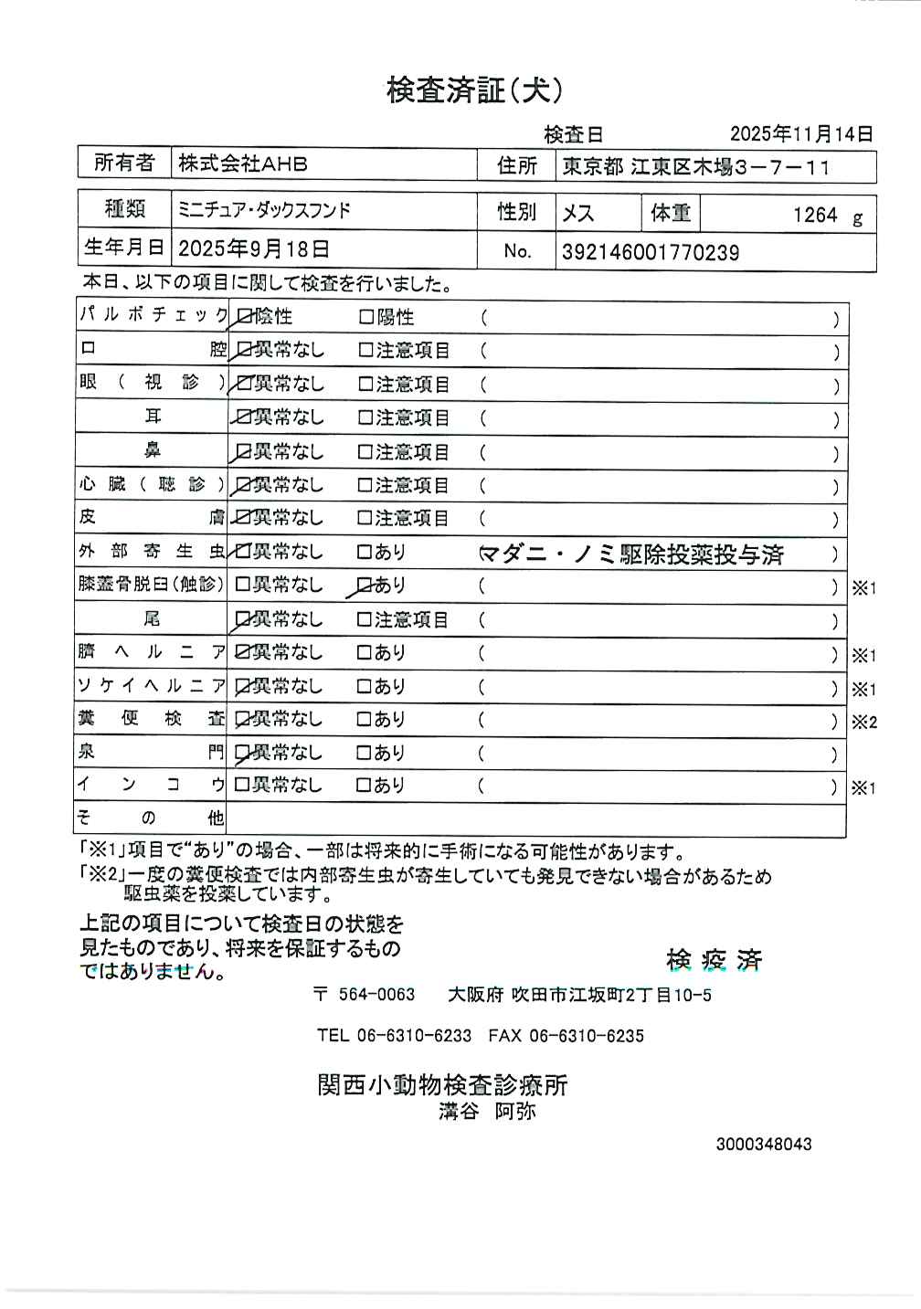 ミニチュア・ダックスフンド