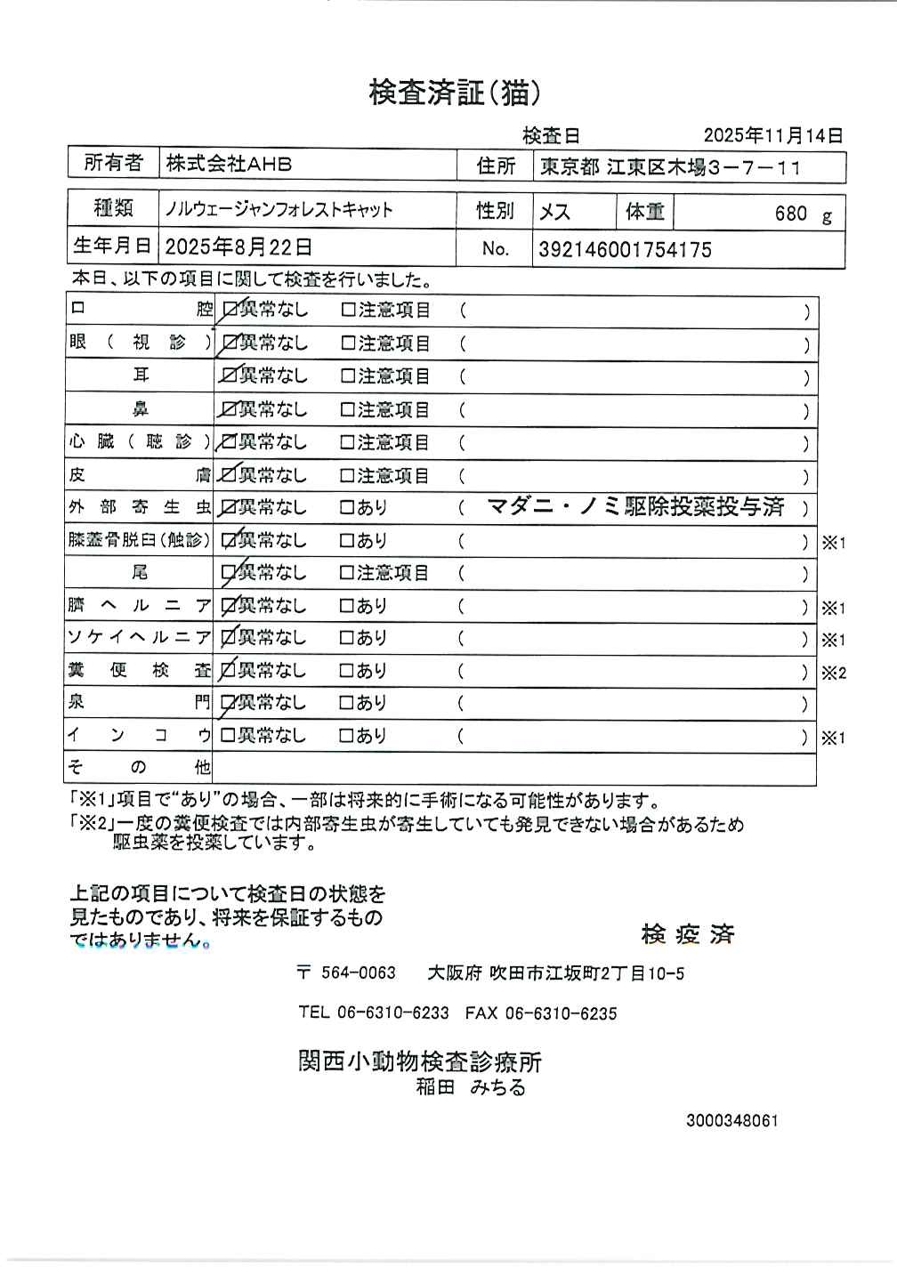 ノルウェージャンフォレストキャット
