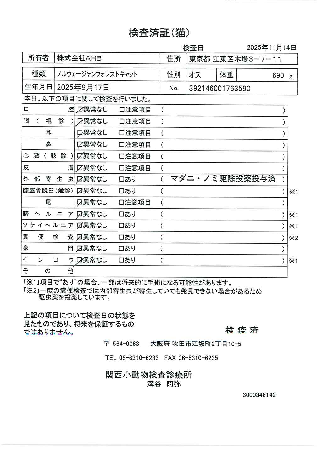 ノルウェージャンフォレストキャット