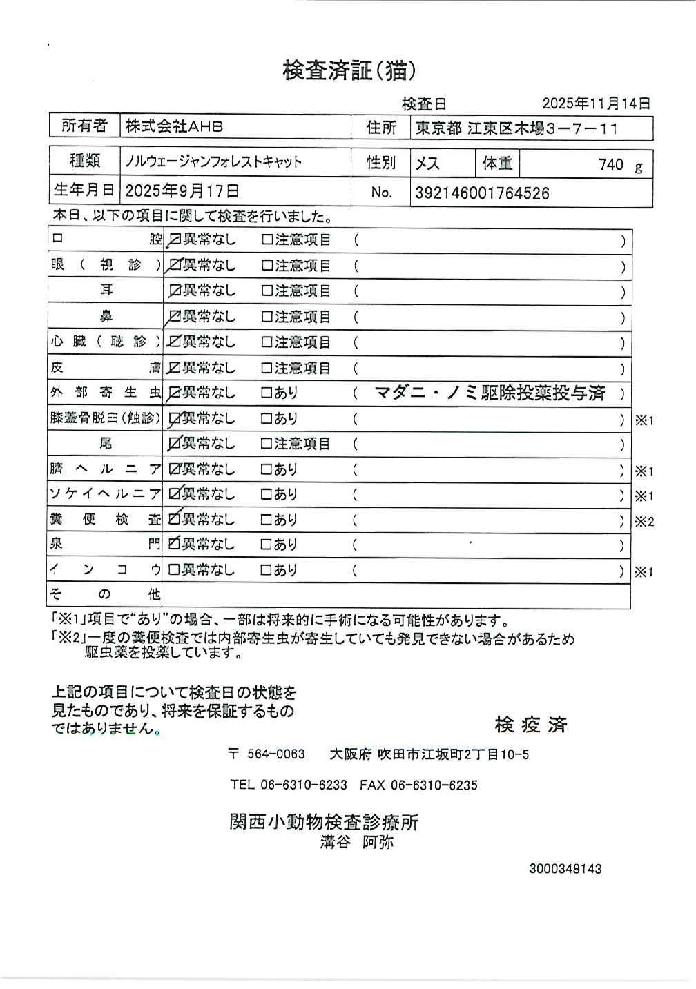 ノルウェージャンフォレストキャット