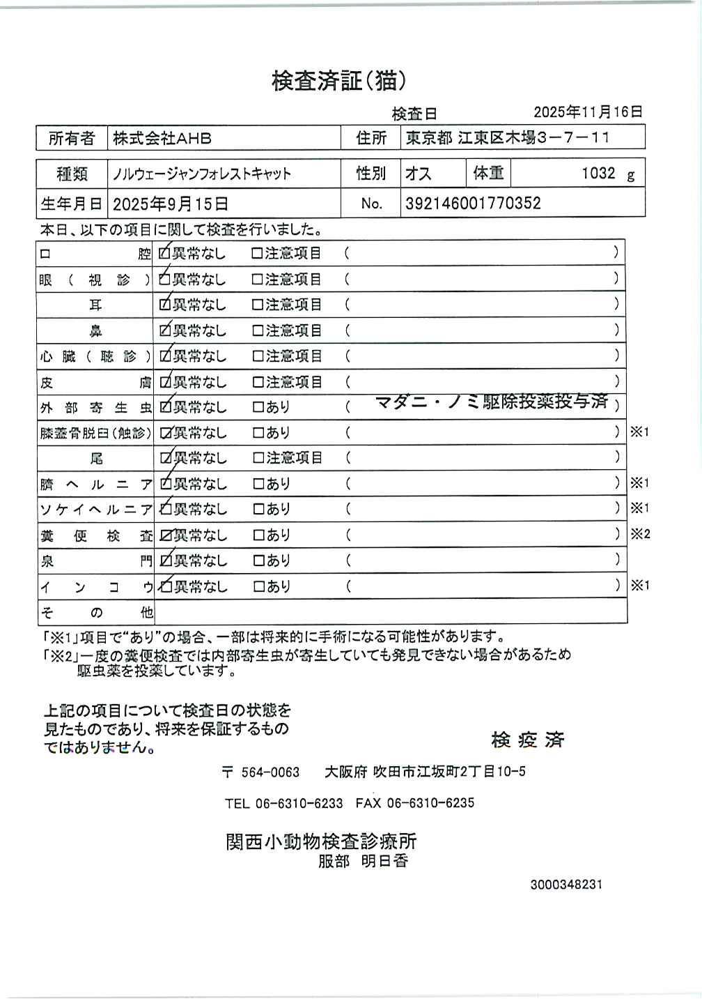 ノルウェージャンフォレストキャット