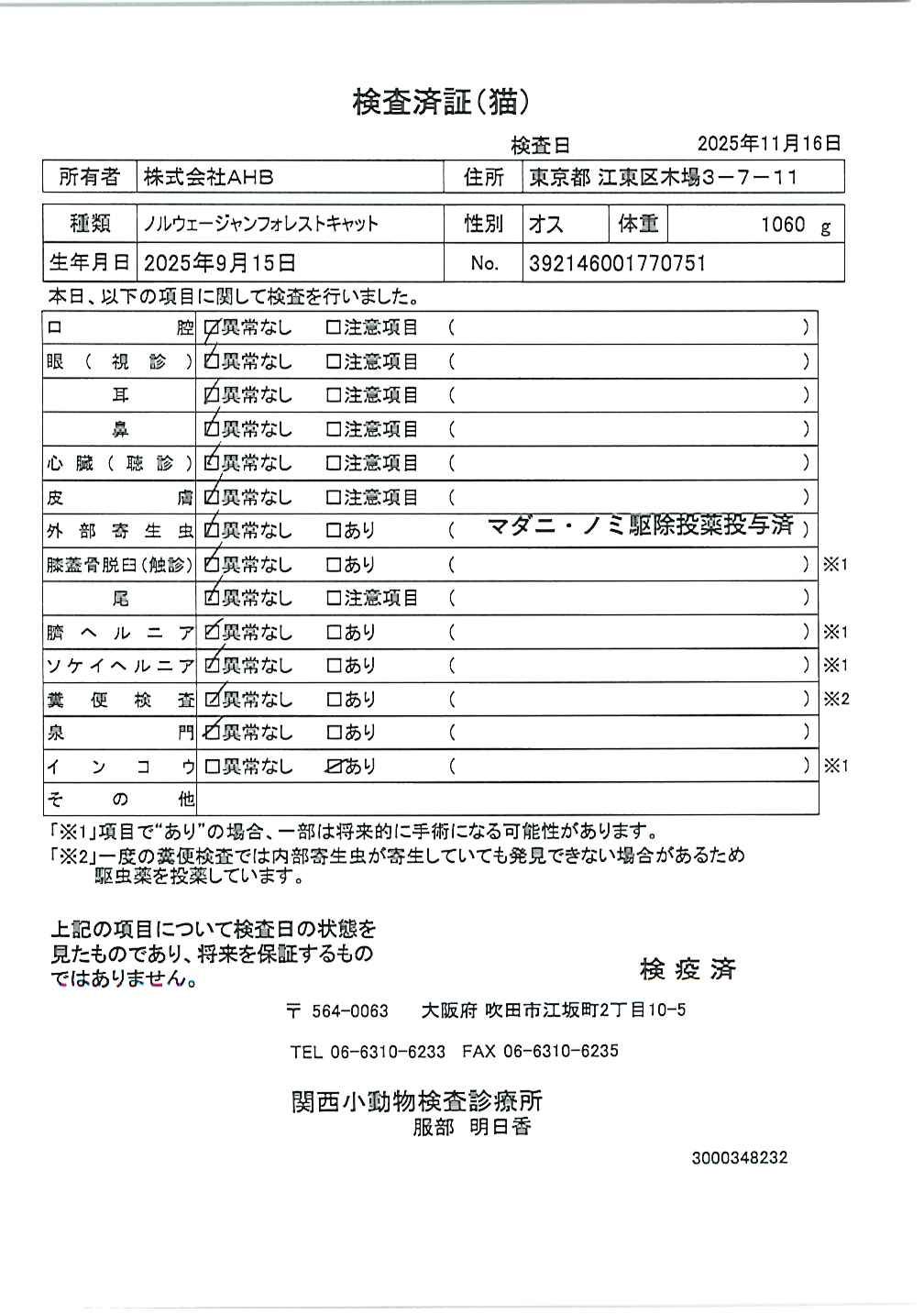 ノルウェージャンフォレストキャット